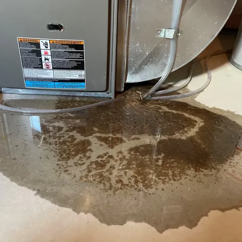 Appliance Leak Cleanup in Goldfield, NV